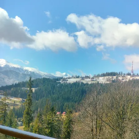 Widok *